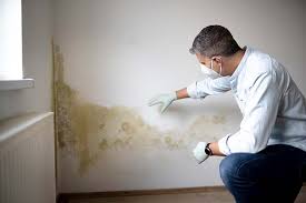 Best Post-Construction Mold Inspection  in Titusville, PA